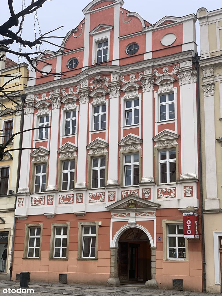 Wynajmę lokal użytkowy w Rynku w Świdnicy - Pełny obrazek: 1/5