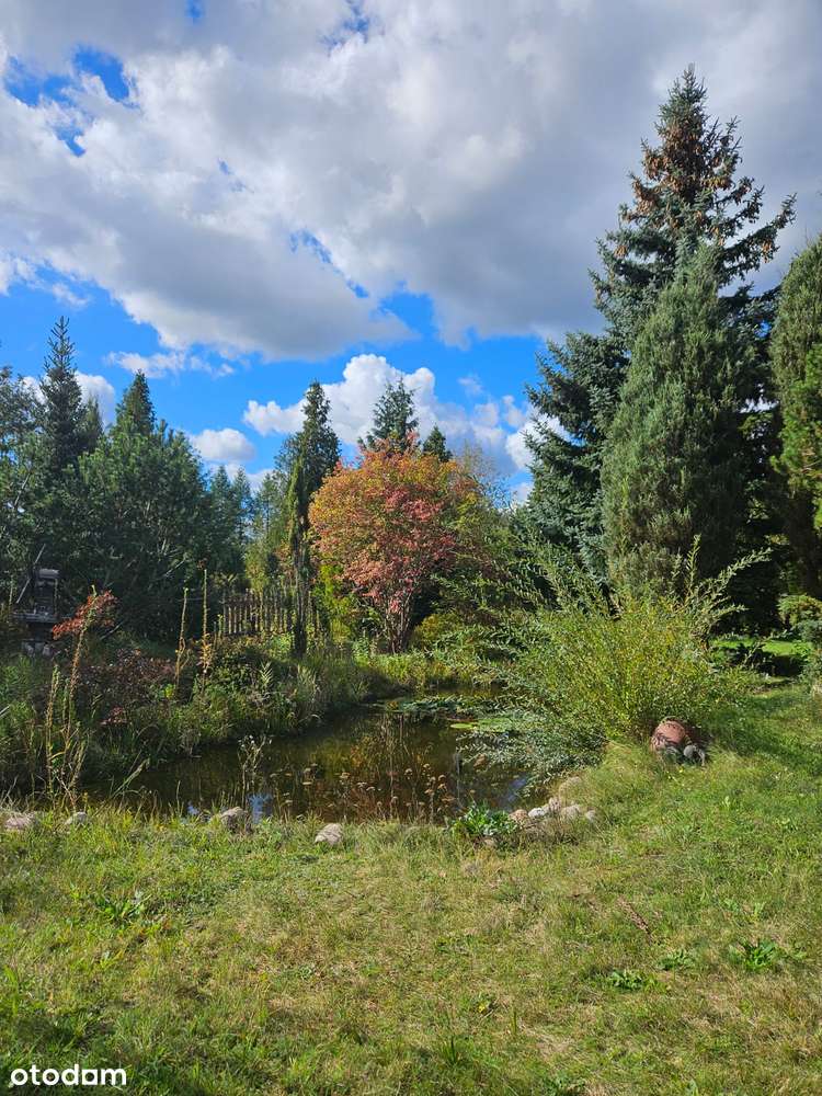 Urokliwa nieruchomość w gminie Radziejowice-3