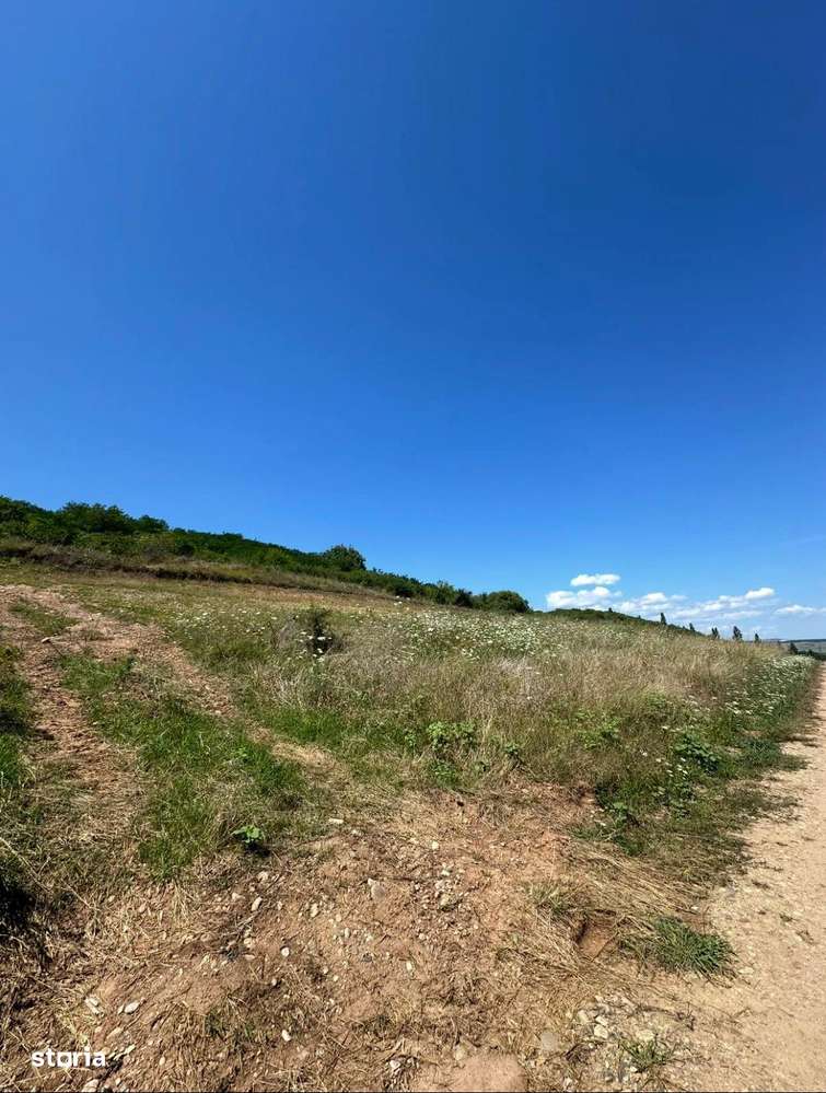 Teren zona Piata Cetate-2