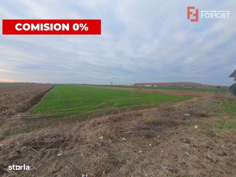COMISION 0% Teren extravilan agricol 10.000 mp la sosea in Sag - Imagine principală: 1/6