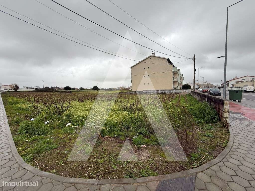 Terreno para Construção em Ílhavo. - Grande imagem: 2/13