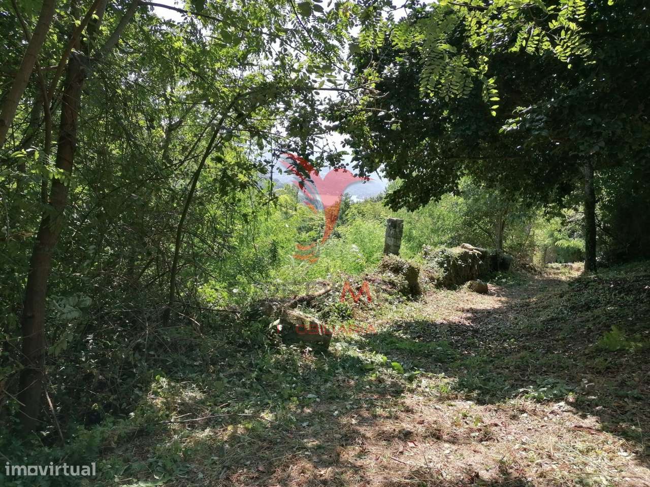Terreno para Construção com vistas para o Rio Douro - Grande imagem: 3/8