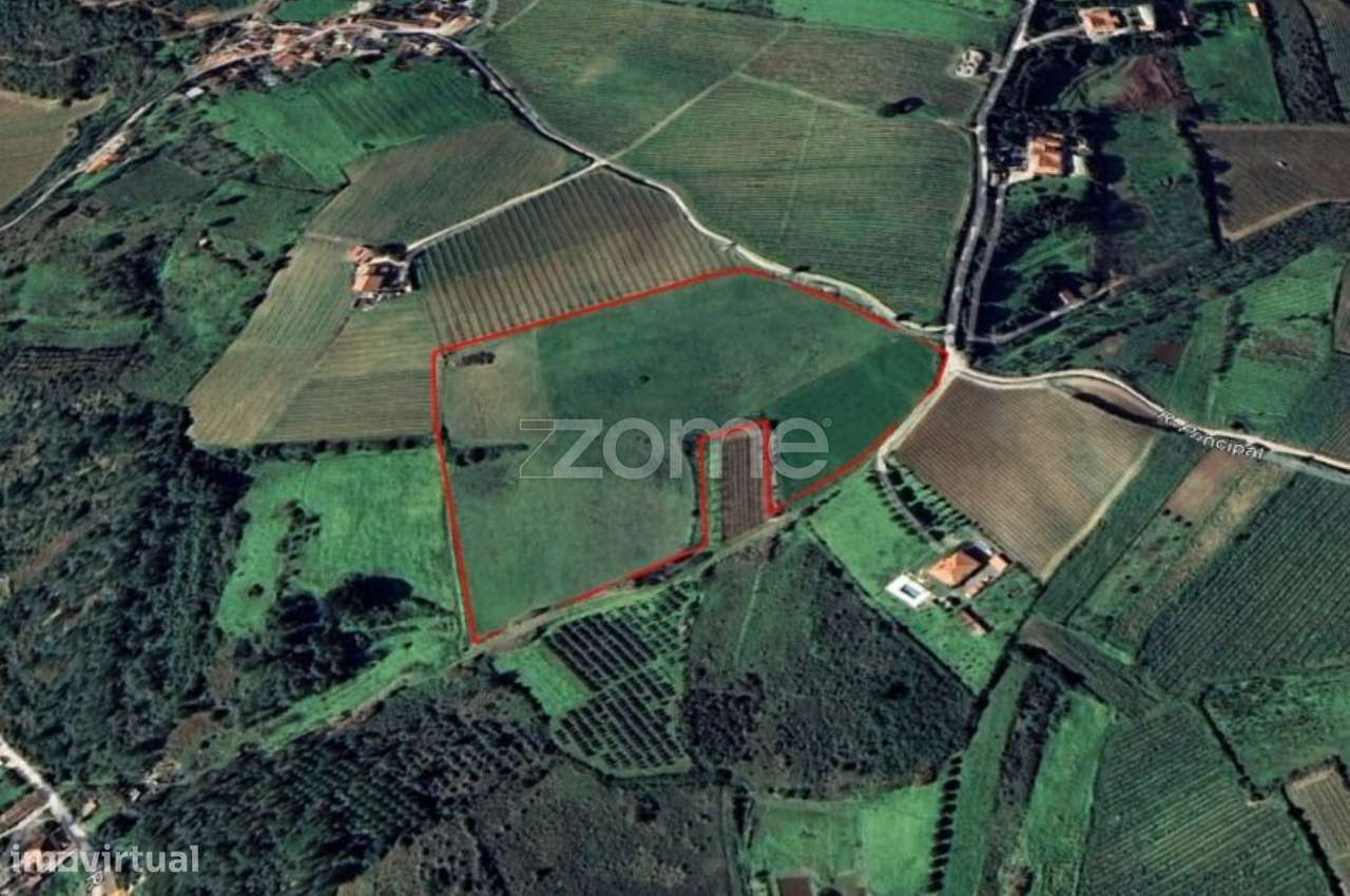 Terreno rústico em Lugar dos Carneiros, Ribafria, Alenquer - Grande imagem: 5/9