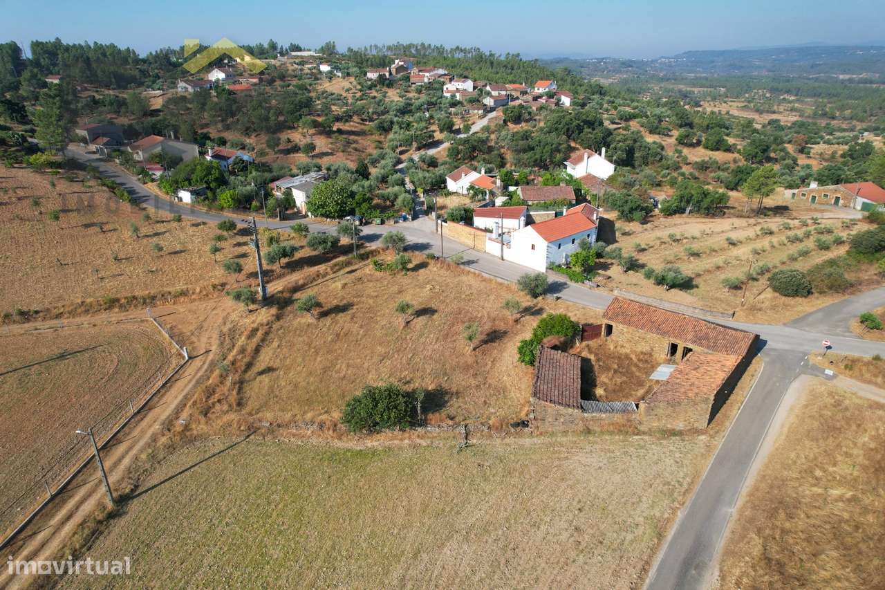 Quintinha  Venda em Sarzedas,Castelo Branco-20
