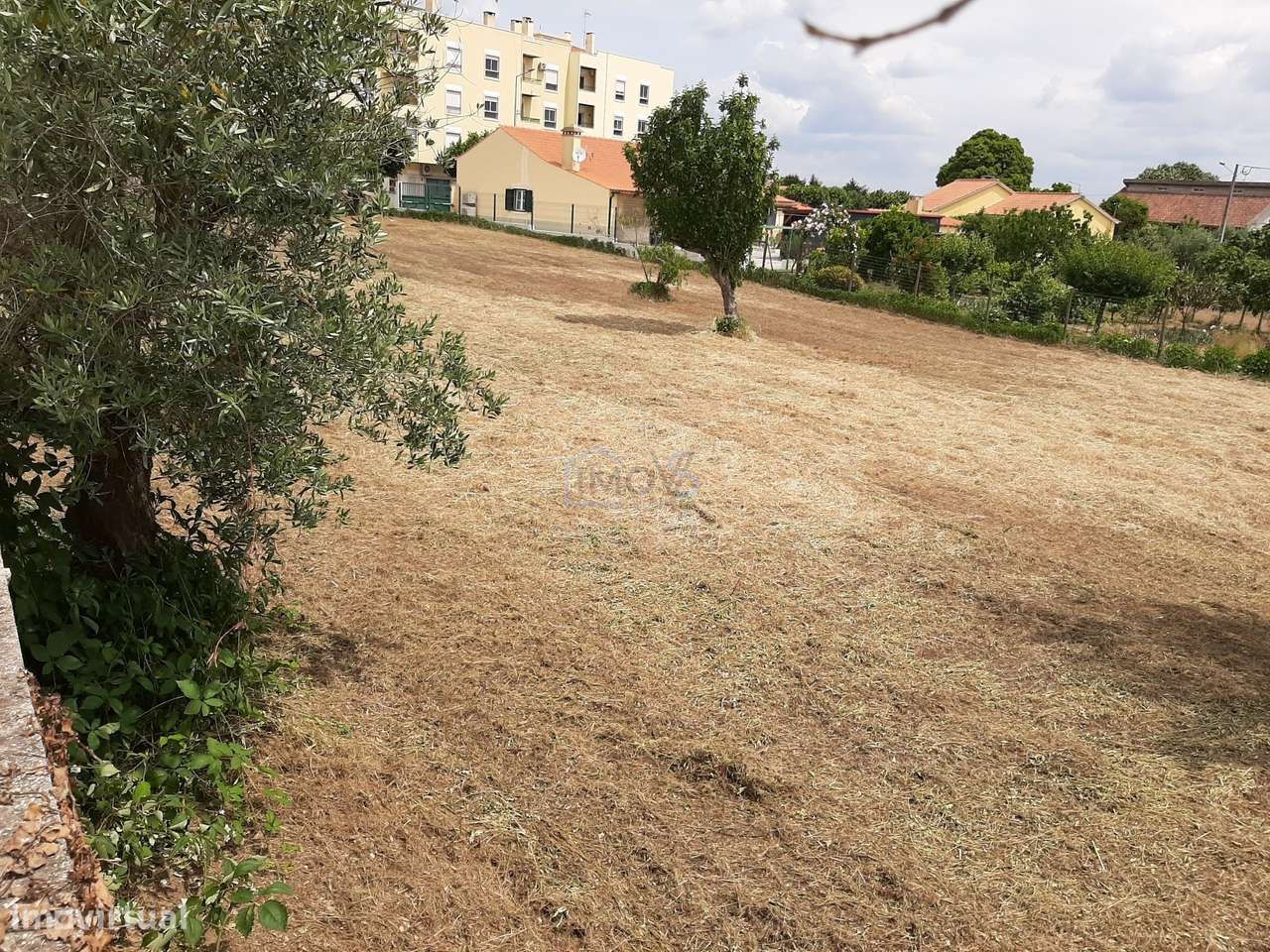 Terreno para construção na Vila de Ferreira do Zêzere-10