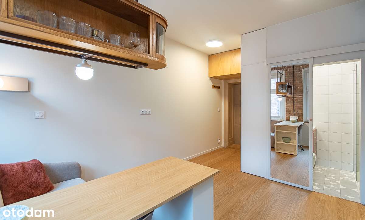 Nietuzinkowa kawalerka na zabytkowym Nikiszowcu-4