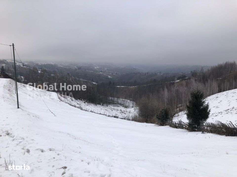 Teren 725 MP | Moieciu de Jos | Piatra Craiului | Oportunitate de inve - Imagine principală: 4/8