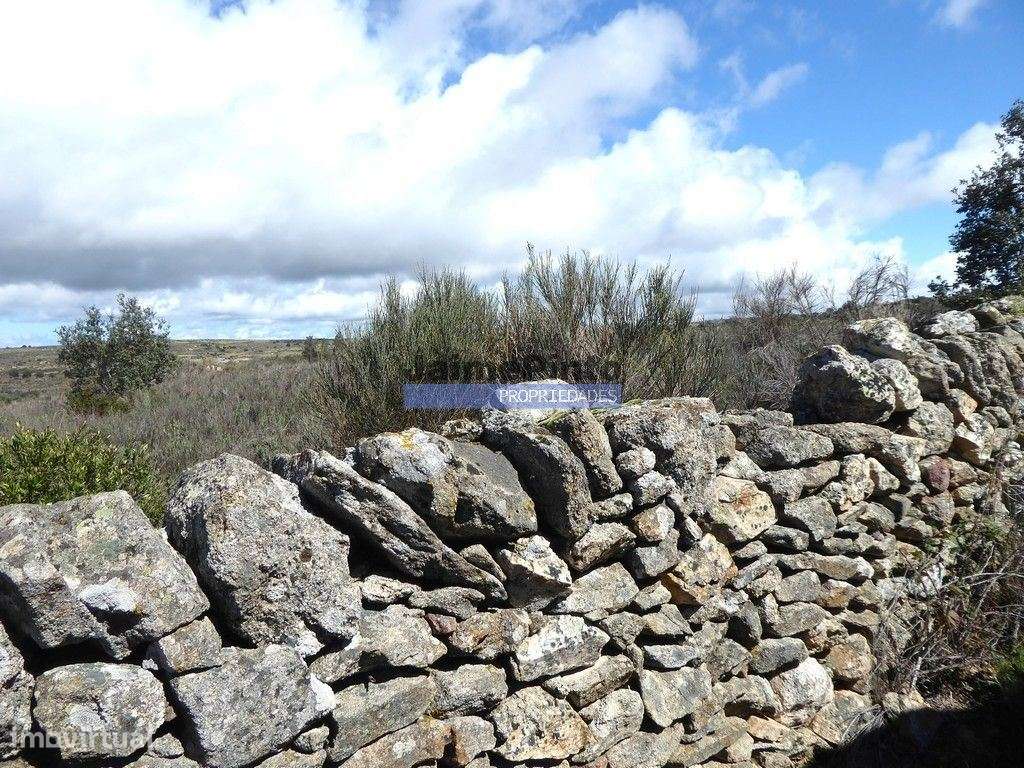 Quinta, herdade de 210.000m2 para agricultura. Portugal, Guarda, F.... - Grande imagem: 2/9