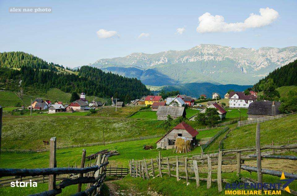 Locatie cu patru anotimpuri intr- o zi, incadrata de 2.350 teren, Bran - Imagine principală: 5/14