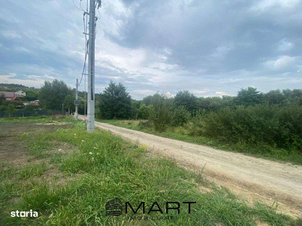 Teren 8000mp Daia noua - Imagine principală: 3/7