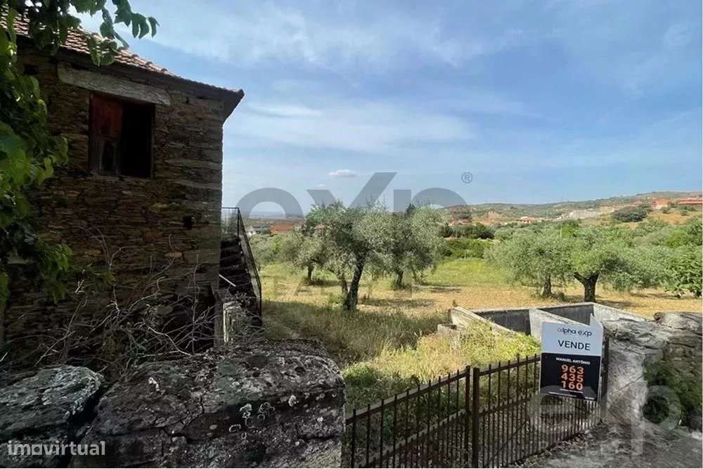 Quintinha a 10 km de Mirandela - Grande imagem: 4/15