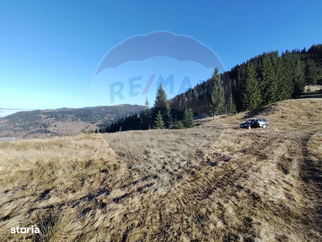 Teren 31,461mp Panaci / Prelungirea Ialovita-6