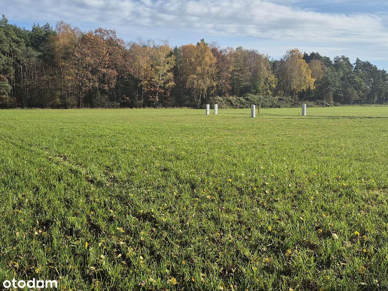 7 działek REZYDENCJONALNYCH  PRZY LESIE  1614m2 do 2610m2 podatek VAT-16