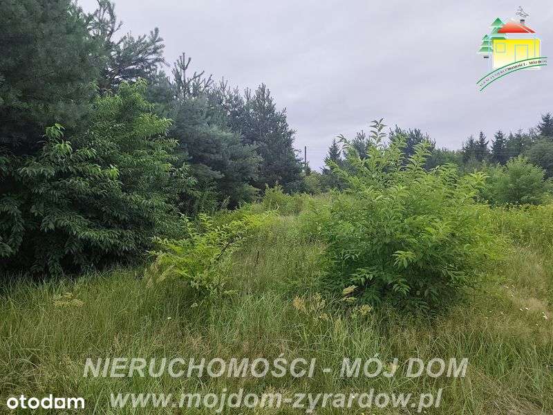 Działka budowlana w atrakcyjnej cenie - Pełny obrazek: 5/6