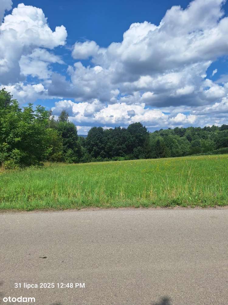 Działka z pięknym widokiem - Stryszowa - Pełny obrazek: 4/5