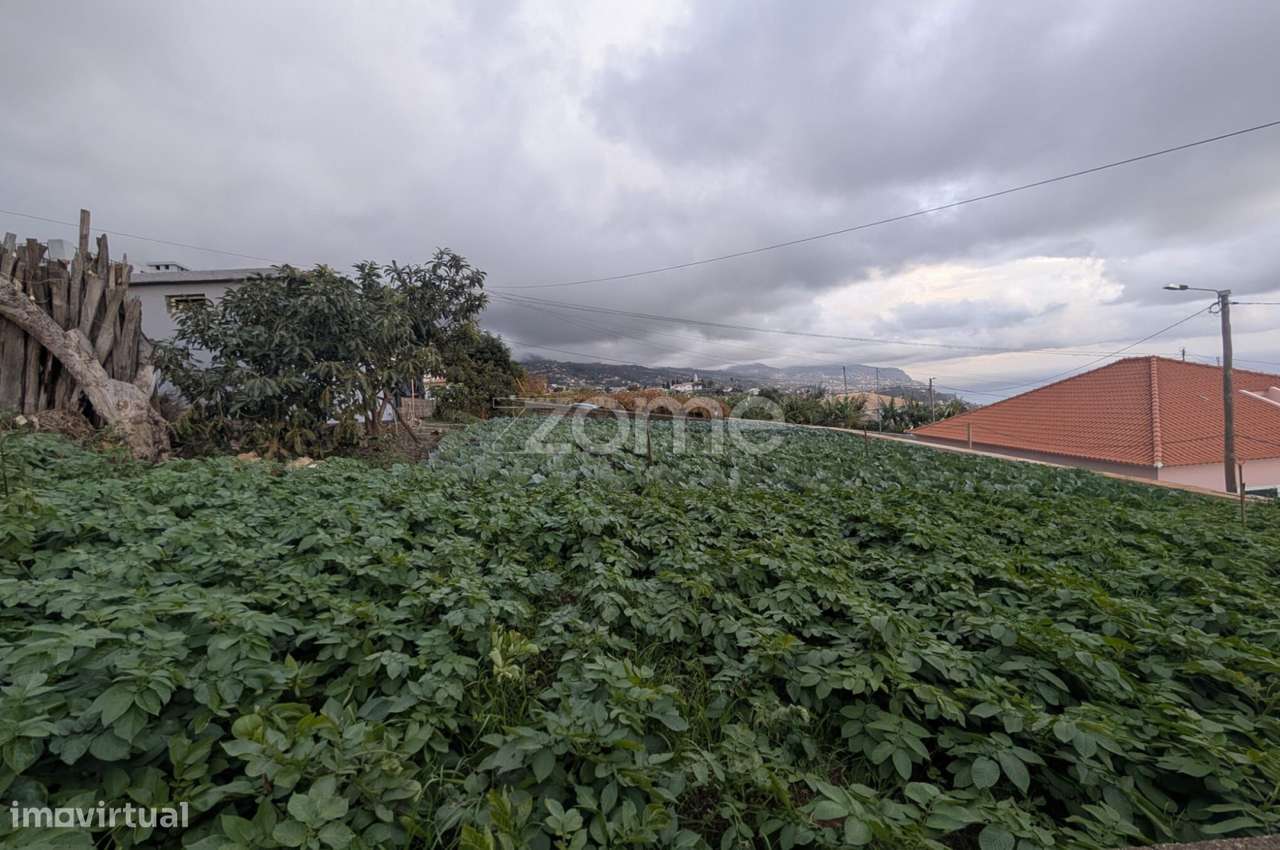 Terreno com Vista Mar e Grande Potencial de Construção | Canhas-6