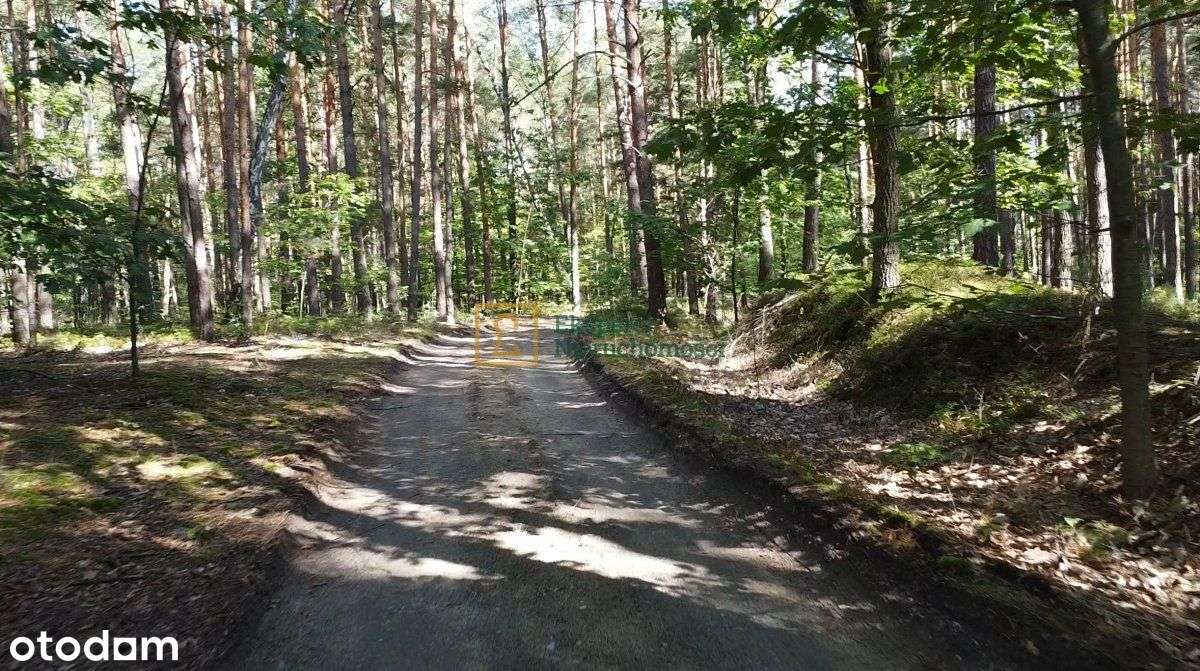 Dom przy lesie, Rakszawa, 116m2 plus garaż w bryle-8