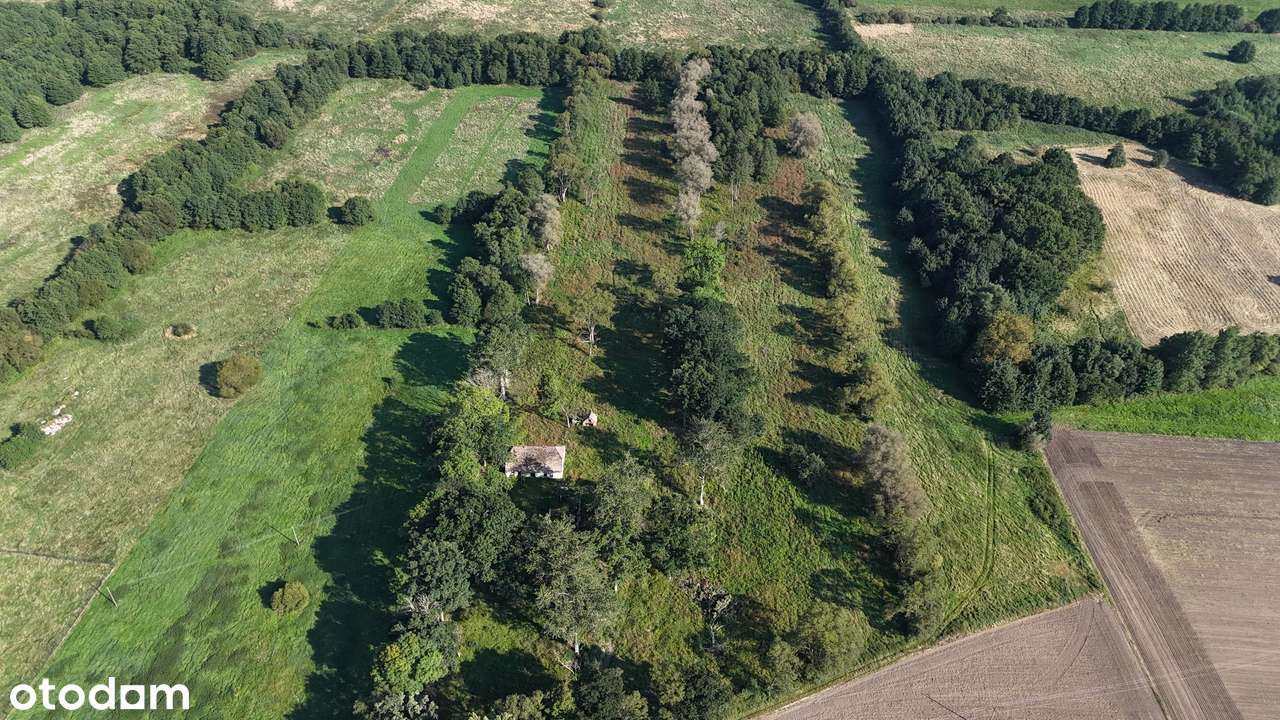 Wyjątkowe działki budowlane nad morzem z potencjałem siedliskowym - Pełny obrazek: 4/10