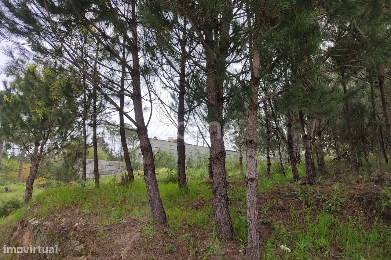 Lote de terreno urbanizável - Venha construir o seu sonho - Grande imagem: 2/30