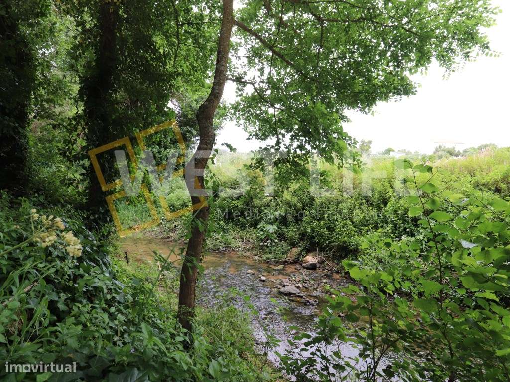 Terreno Rústico/ Agrícola de 3500m2 - Ericeira - Grande imagem: 4/17