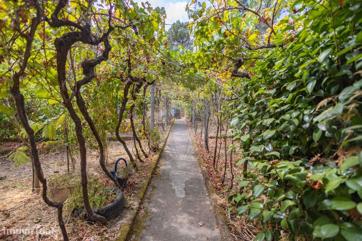 Moradia T2 para venda - Grande imagem: 4/31