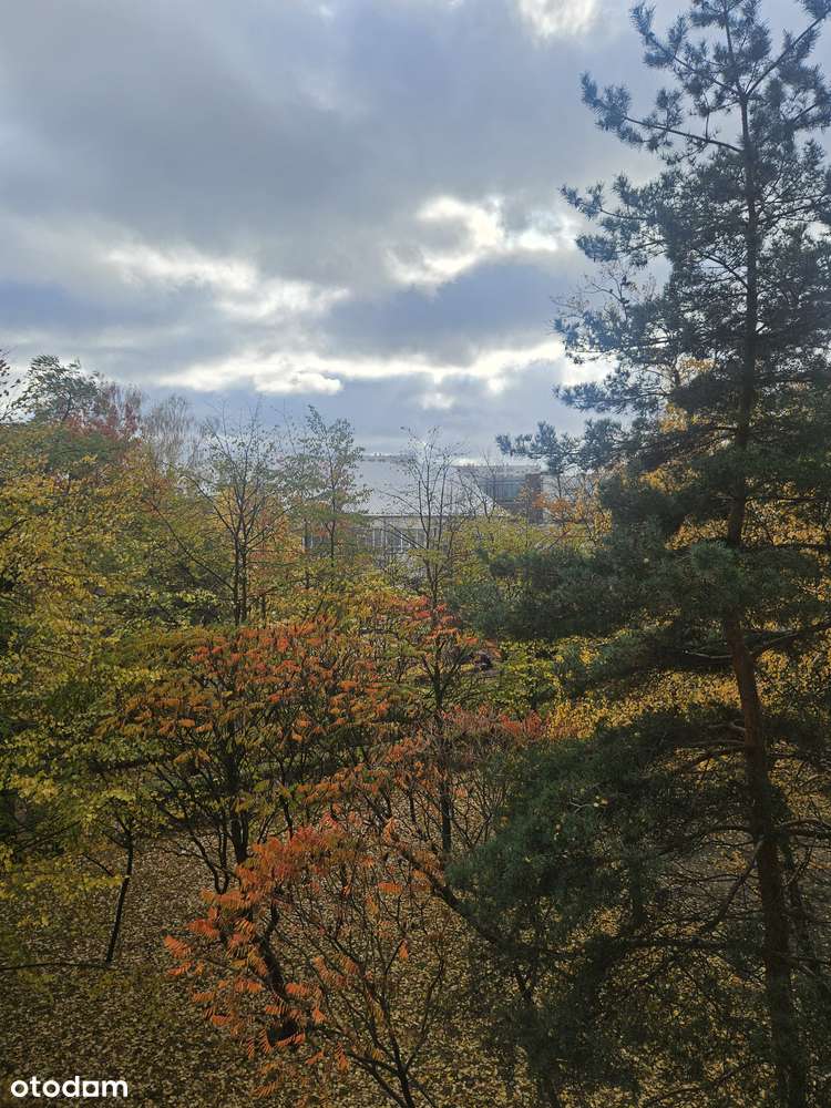 Kawalerka, Centrum!!!!!!!-7