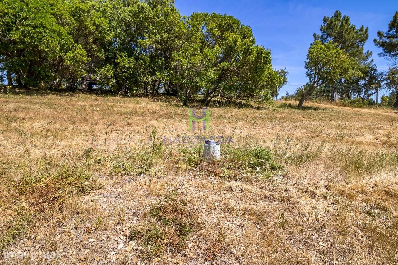 2 Parcelas de terreno rústico, com área total de 5.500 m2, com furo, p - Grande imagem: 5/14