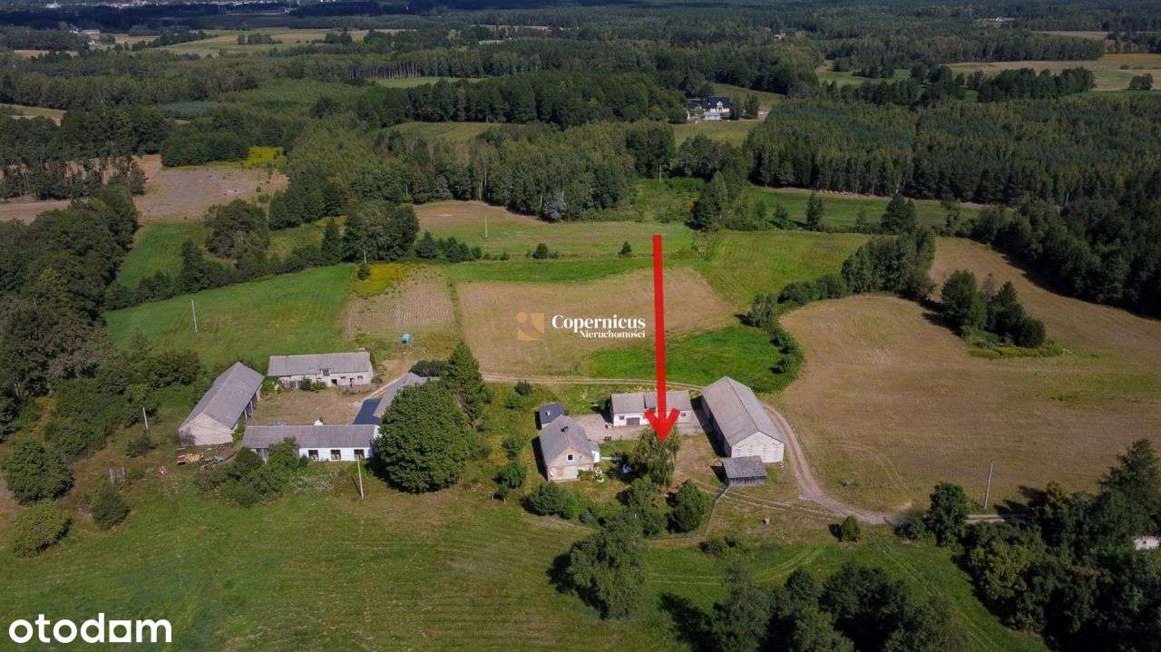 Grunt-6 ha z domem i budynkami,gm.Skępe,potencjał-14