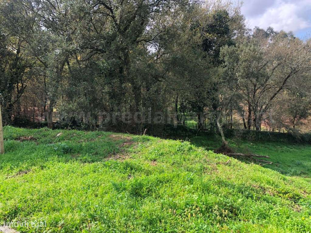 Terreno em Campos, Avintes - Grande imagem: 5/8