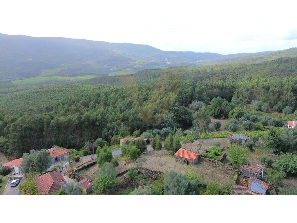 Terreno 1490 m² com Anexo e Vista Panorâmica - Ponte de Lima - Grande imagem: 2/8