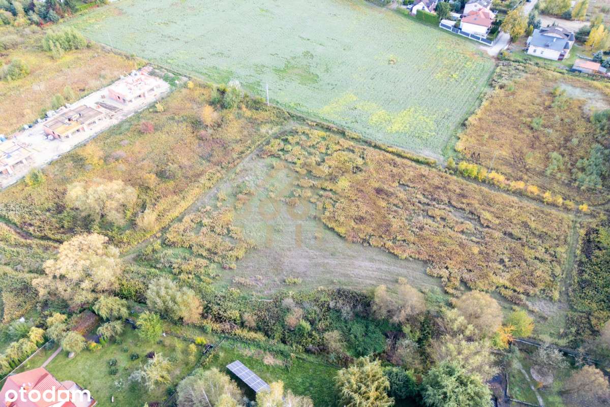Działka budowlana/ Łoziska/Piaseczno/Iwiczna - Pełny obrazek: 5/11