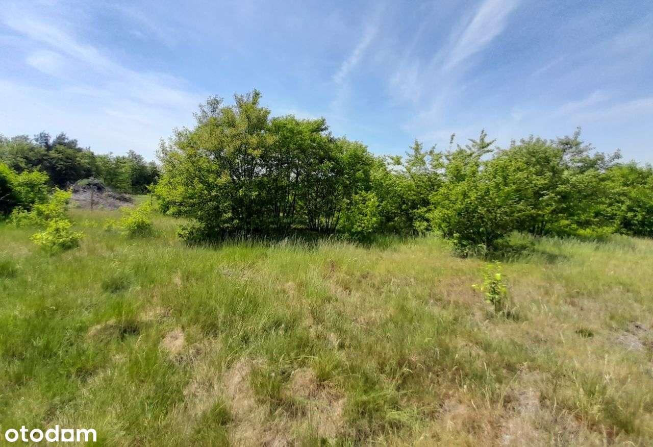 Sprzedam dużą działkę w Żarkach - 18,5a !!!-13