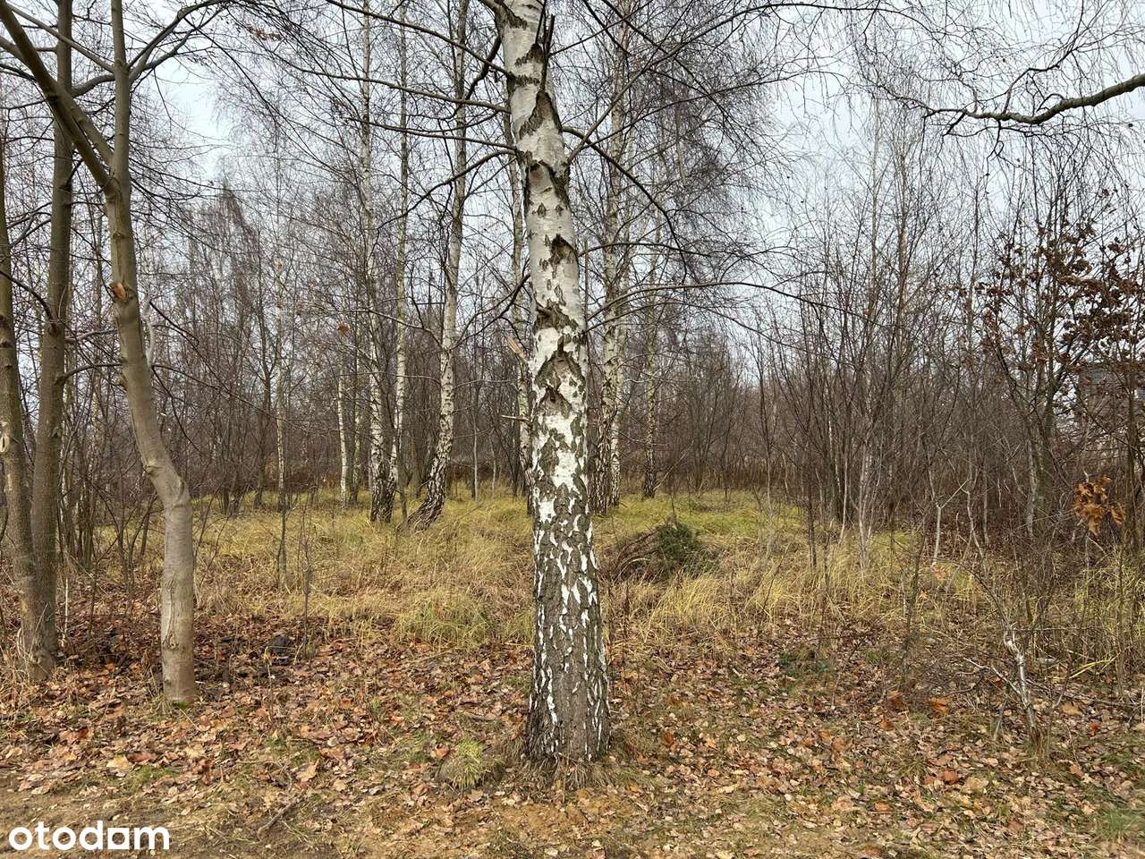 Granice-Teresin, ul. Rajska | 888 m² | MPZP | dojazd, infrastruktura - Pełny obrazek: 4/8