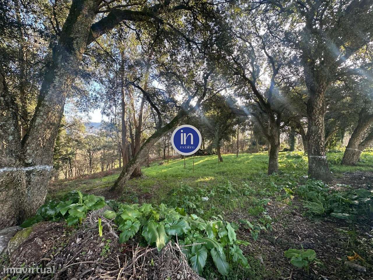 Terreno de construção-10