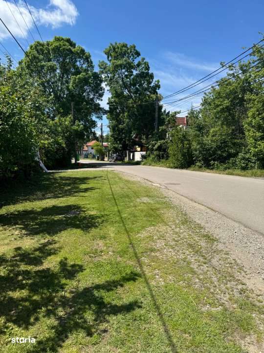 Teren Snagov – Ideal pentru dezvoltare rezidentiala sau investitie! - Imagine principală: 3/5