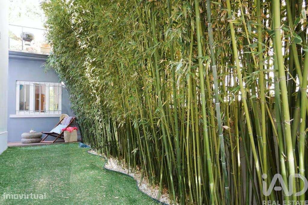 Moradia geminada T4 em Campolide de 172 m2 - Grande imagem: 4/32