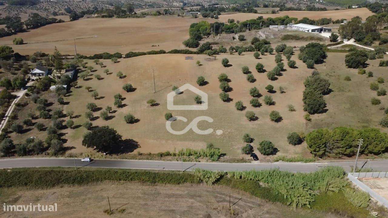 Terreno Rústico com 25.240 m² em Ferras, Gavata, Torres Novas – RAN-38