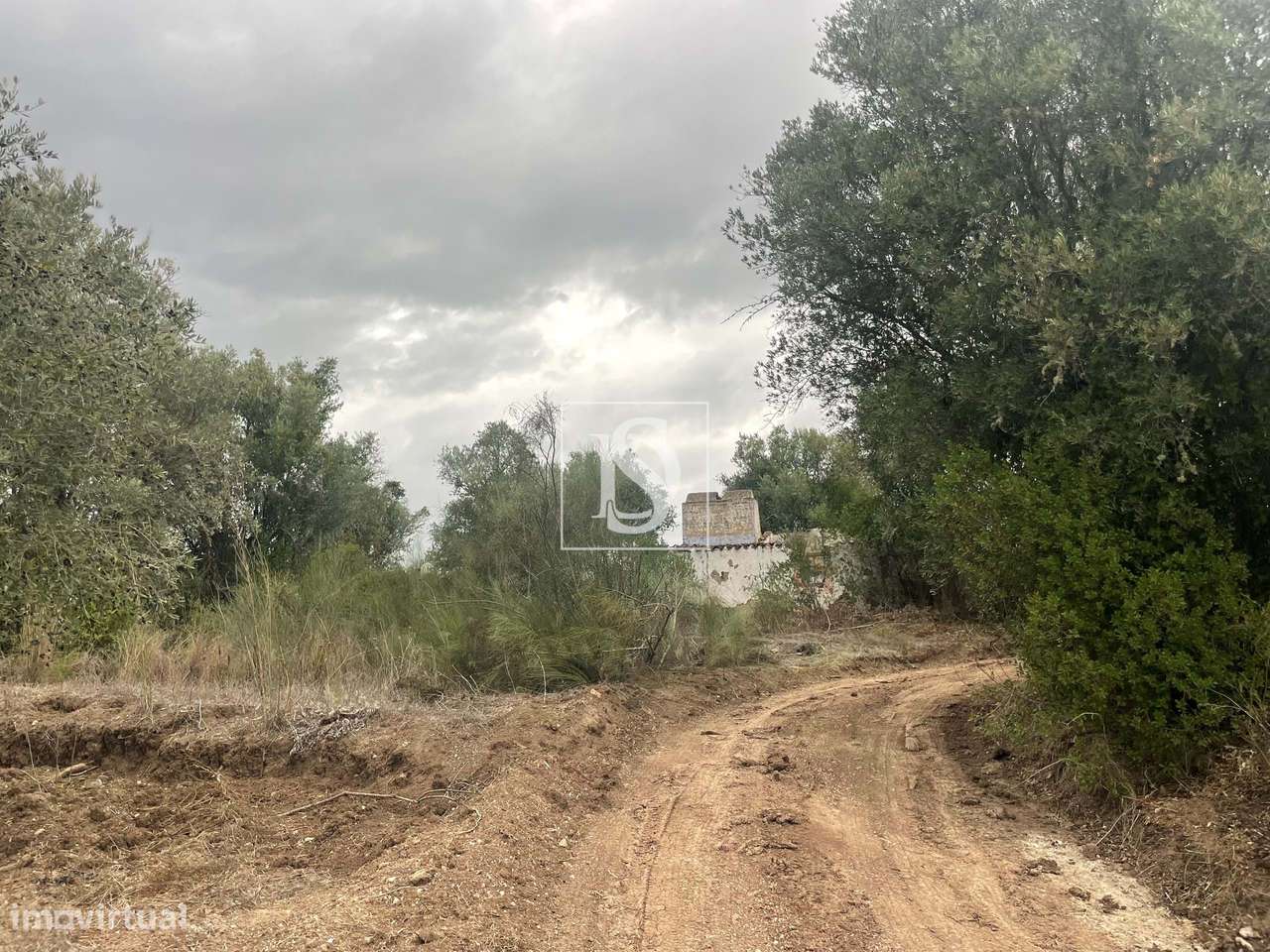 Quintinha em Montargil-11