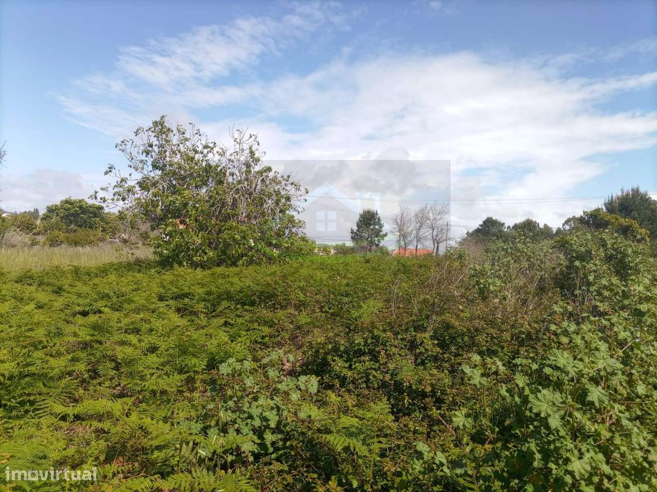 Terreno de construção, com possibilidade de construir 2 casas - Grande imagem: 5/19