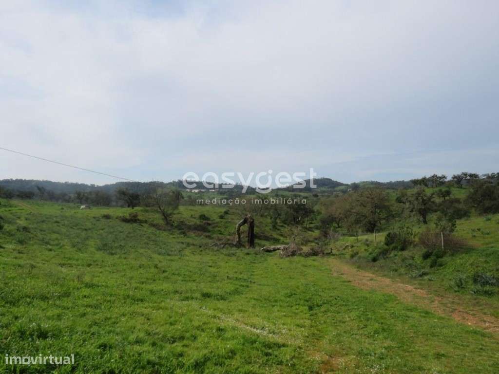 Herdade com 1.447.916 m2 localizada em São Luís, concelho de Odemira - Grande imagem: 5/48