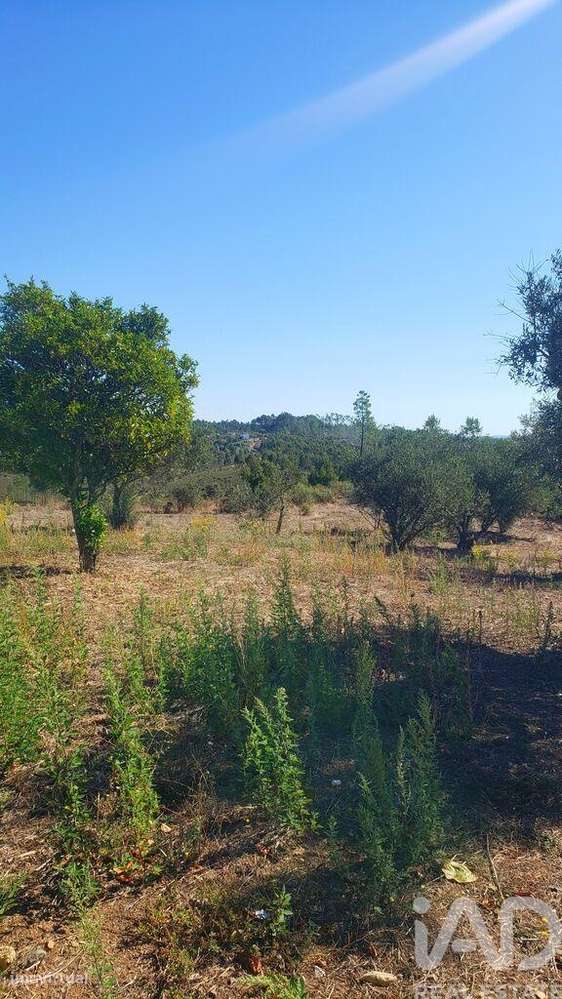 Moradia isolada T4 em Cardigos de 158,85 m2-21