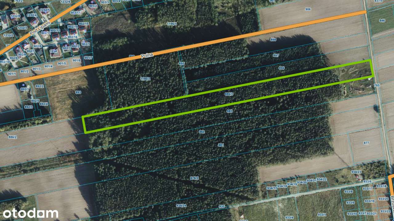 Działka leśna 2,35 ha, Kaszczor, pow. wolsztyński-18