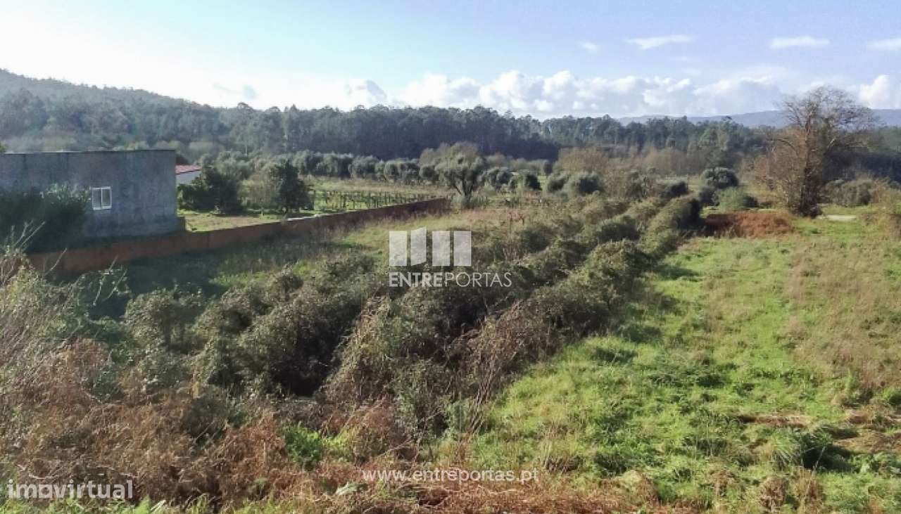 Venda de Terreno para construção, Deocriste, Viana do Castelo. - Grande imagem: 2/29