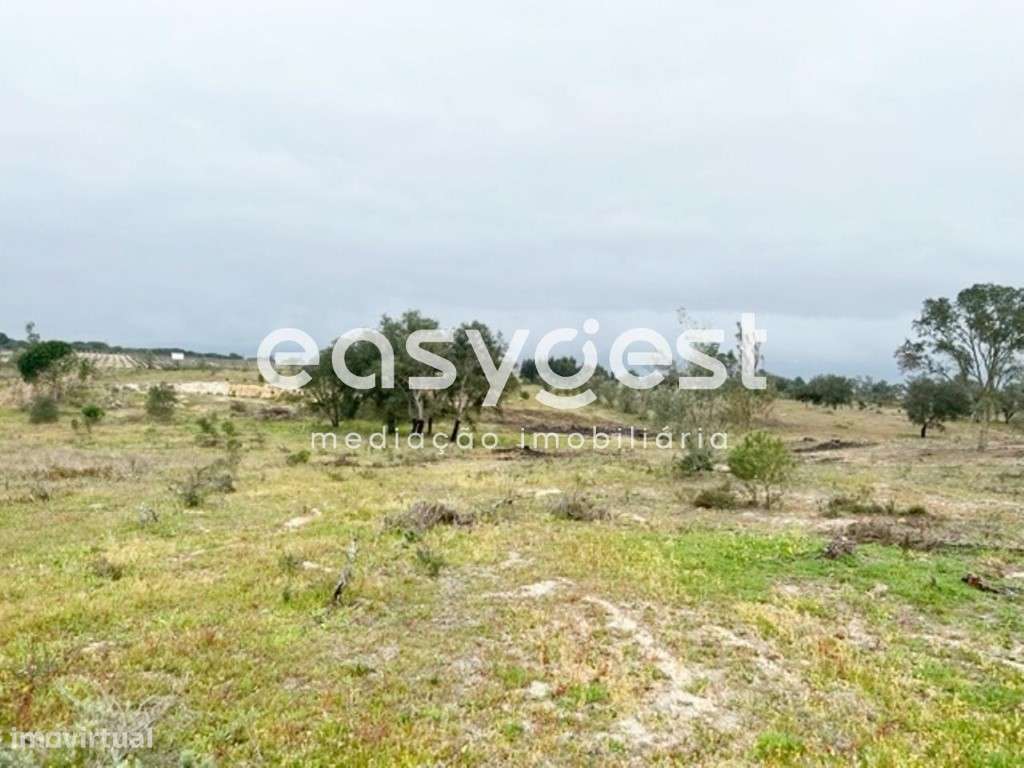 Terreno com 19.585 m2, localizado na Asseiceira, Poceirão - Grande imagem: 5/7