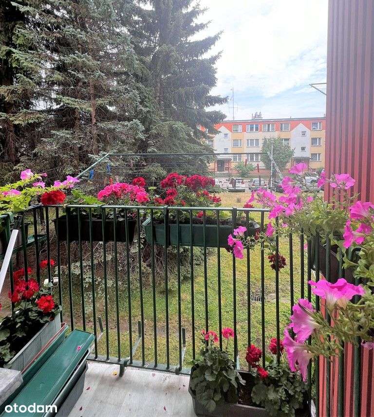 Do wynajęcia mieszkanie - 1 piętro/2 pokoje. - Pełny obrazek: 2/6