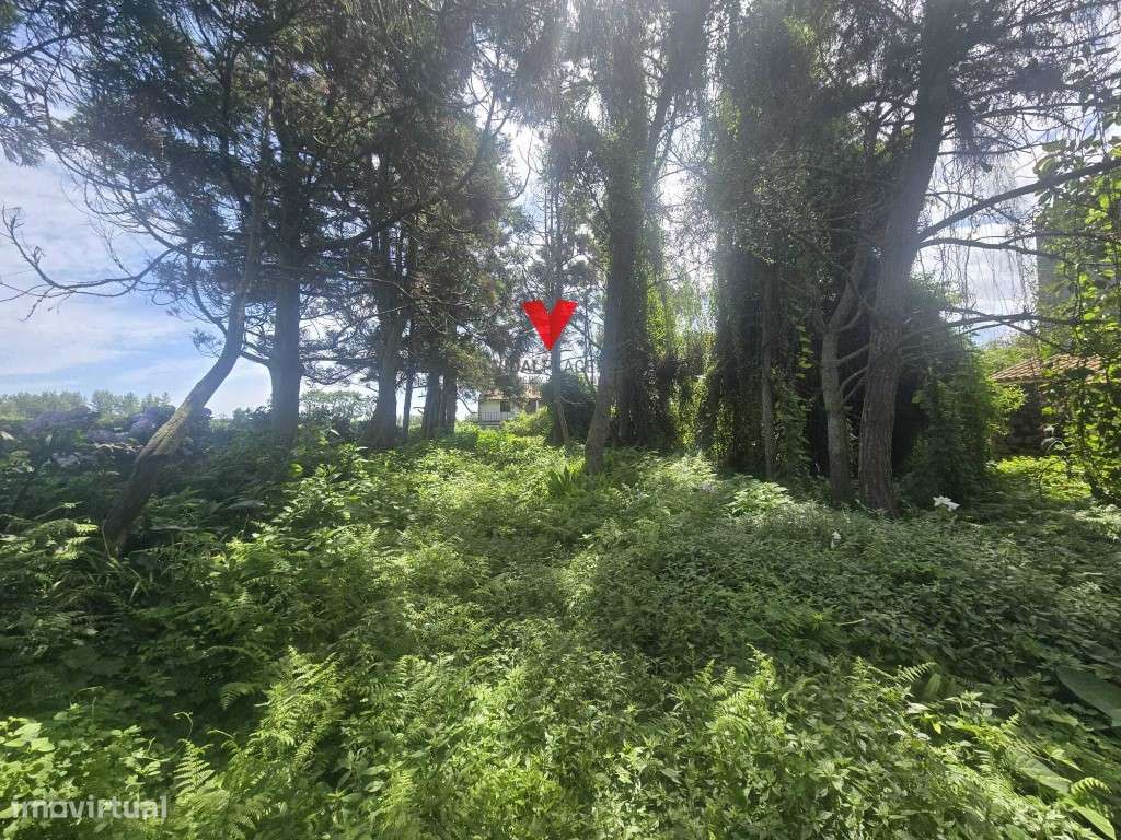 Propriedade Histórica de Prestígio | Relva, Ponta Delgada - Ilha de...-10