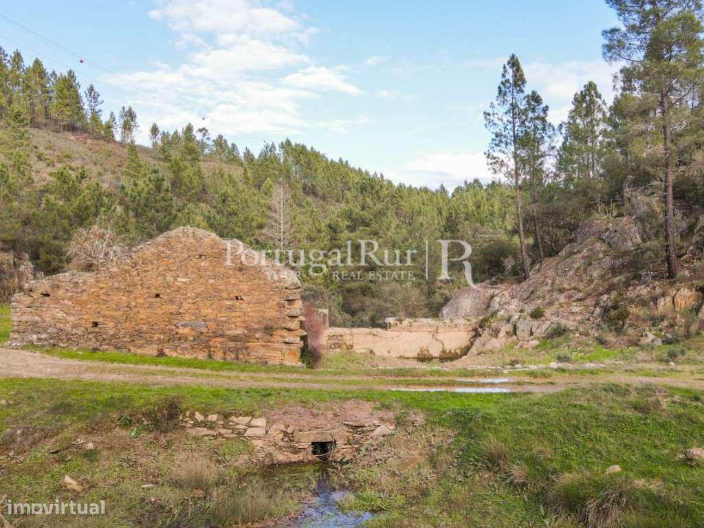 Antigo Lagar com 5,7 hectares - Grande imagem: 2/41