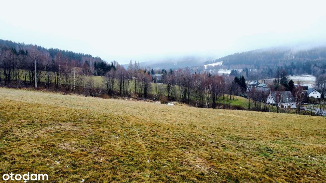 5,5 ha z działką budowlaną – świetne pod domki i agroturystykę-4