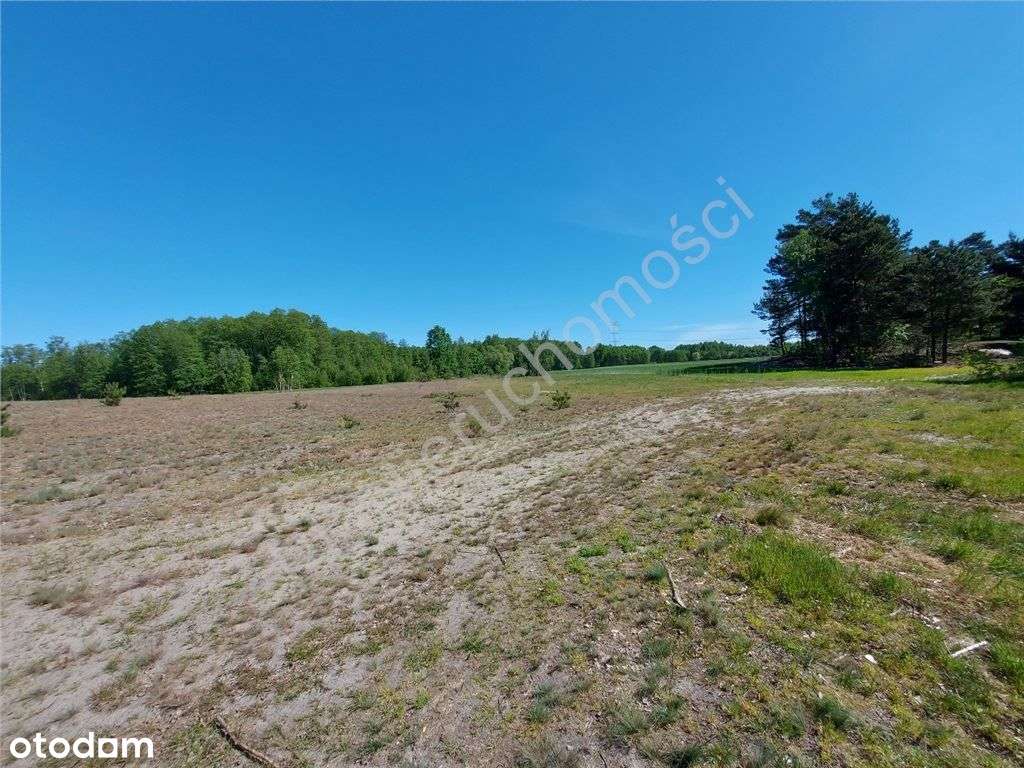 Dogodne Wymiary, Media, Magiczny Widok.-3