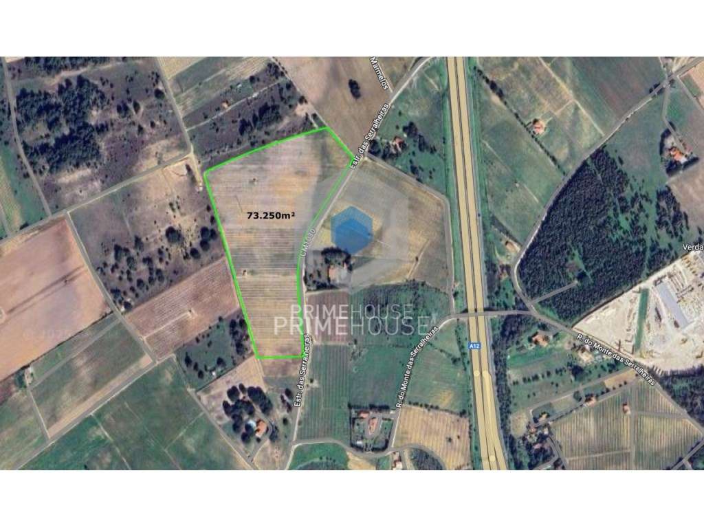 Terreno com vinha de alta qualidade em Palmela - Grande imagem: 4/7